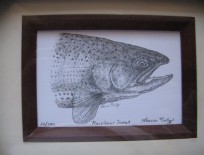 Framed Trout Lithographs